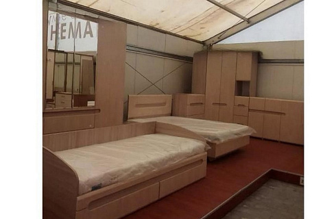 Леонардо Дуб беленый